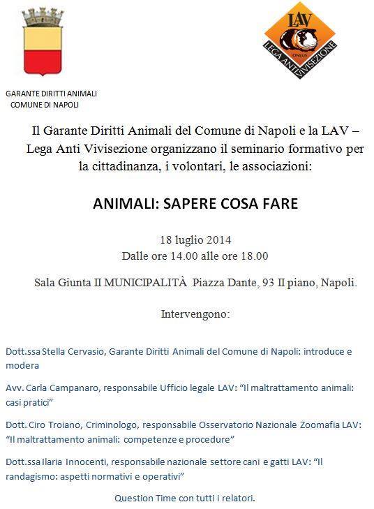 Locandina Convegno 18 luglio 2014 -Lav
