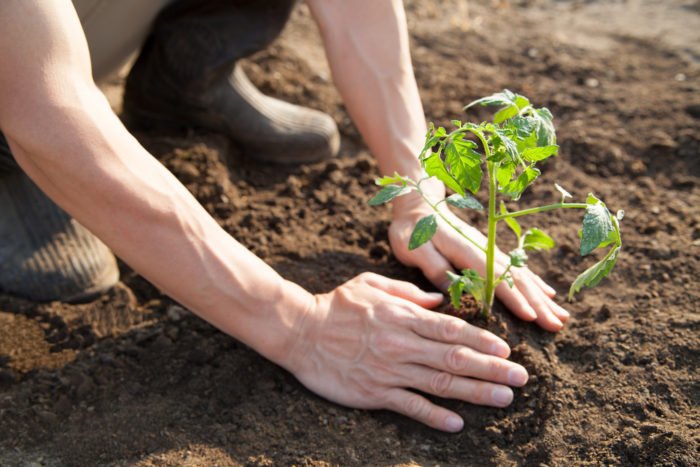 Contrapposizioni e Conflittualità: Coltivare e&nbsp;Cacciare
