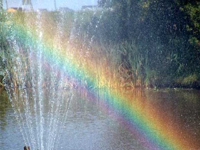 Contrapposizioni e Conflittualità: Amore e&nbsp;Odio!