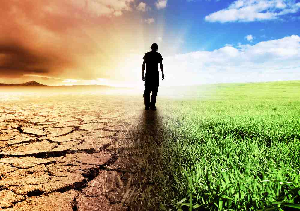 Vizi e Virtù: La&nbsp;Fortezza